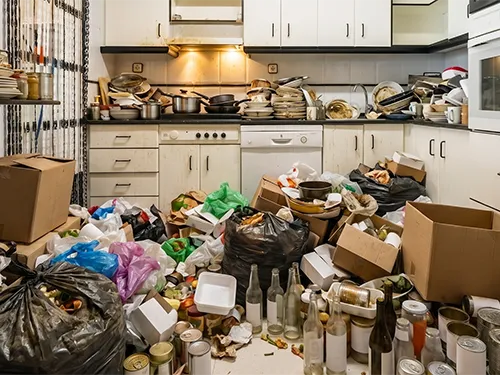 Nettoyage extrême et insalubre — syndrome de Diogène — Eauxigen Débarras et nettoyage d’un logement insalubre (syndrome de Diogène) par Eauxigen
